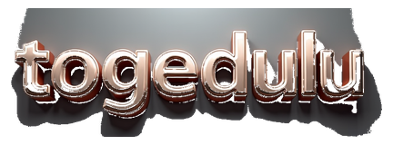 togeldulu login logo